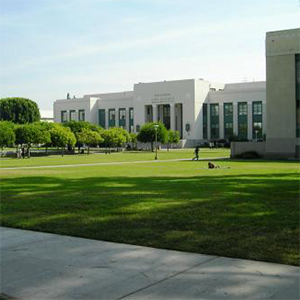 戴安扎学院